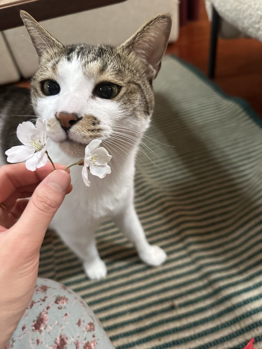 정소연 ソヨン🎤 tweet media