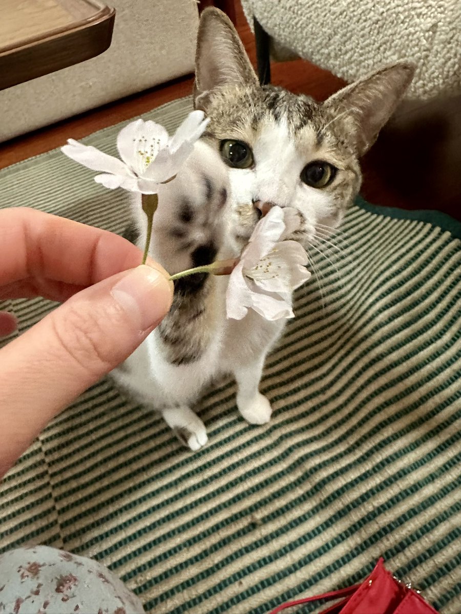 정소연 ソヨン🎤 tweet media