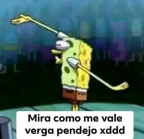 El Pio Mau🔞 tweet media