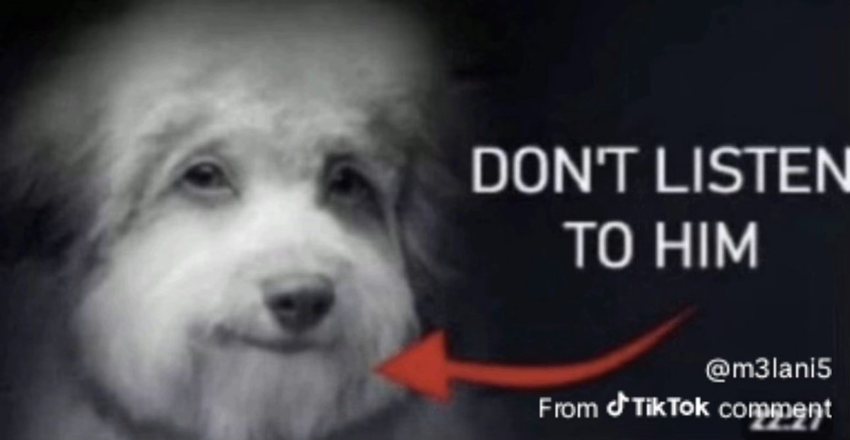 Gabriel Bytza tweet media