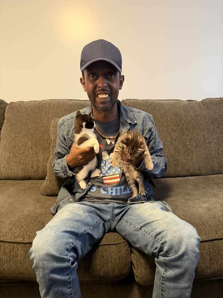 Average Mohamed tweet media