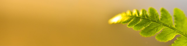 Rick Sanders tweet media