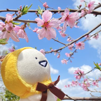 chou🦋 tweet media