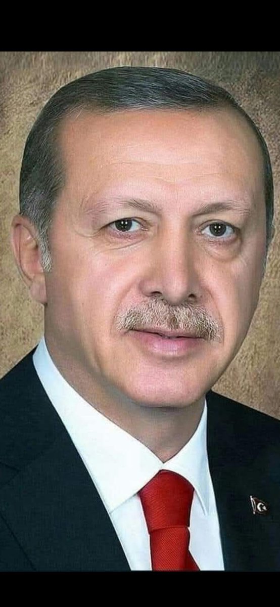 Ayseli Dogan tweet media