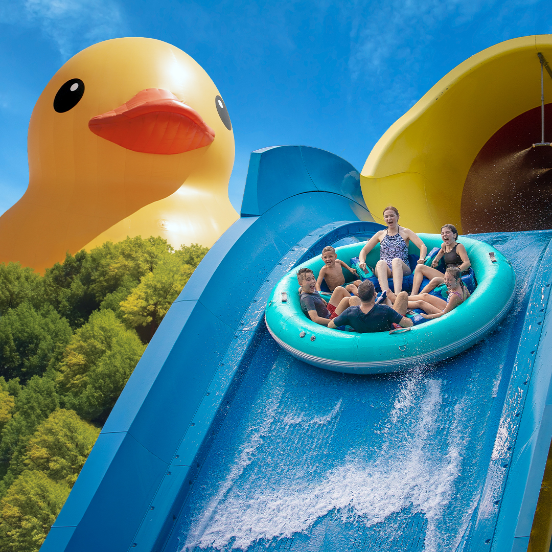 Holiday World tweet media