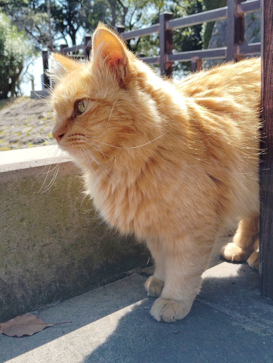 Kizuどん ℝ tweet media