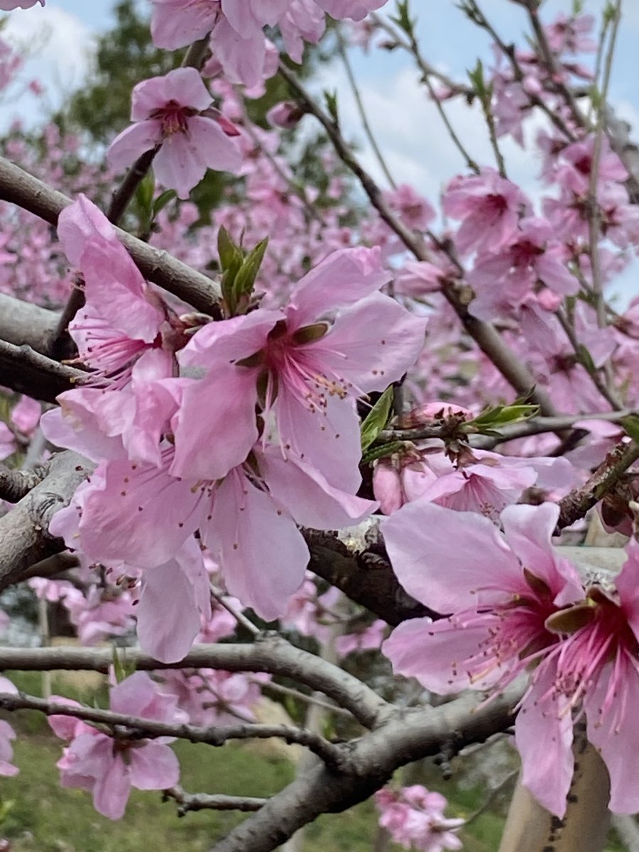 chou🦋 tweet media