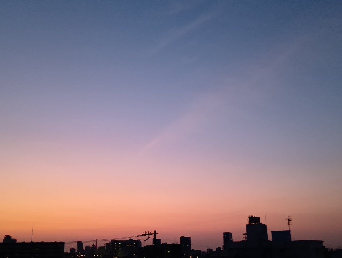 じんの🐯 tweet media