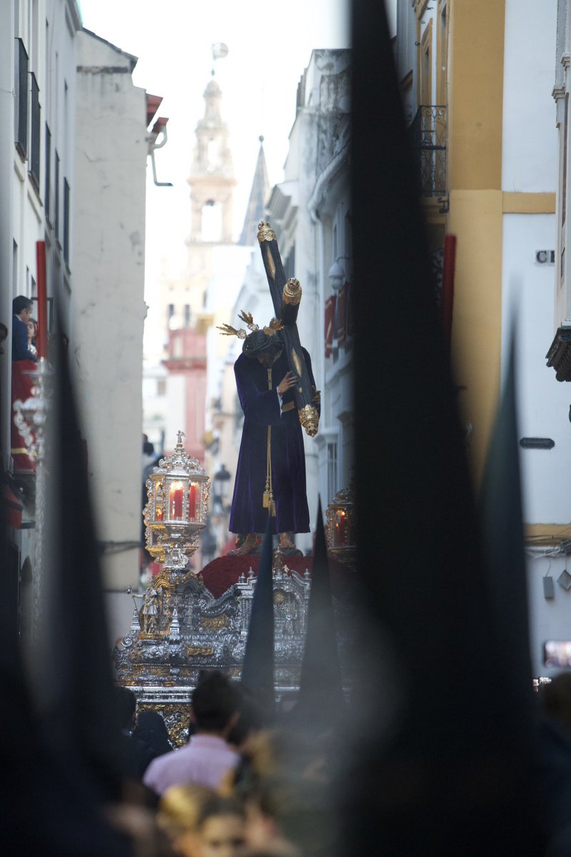 Estrella Carreño ۞®️ tweet media