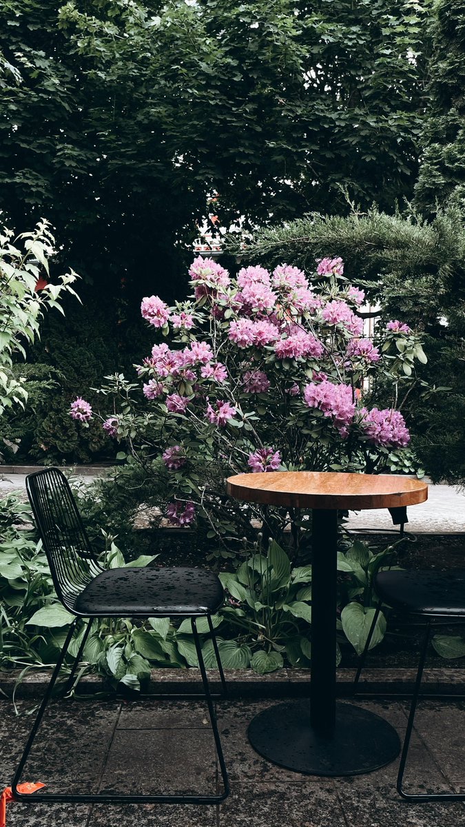 sunandshade85's tweet image. Upgrade your patio with beautiful outdoor accents—shop now and create the perfect open-air escape!

sunandshadedecor.com

#PatioGoals #OutdoorStyle #BackyardDecor #GardenLiving #OutdoorSpaces #PatioInspo #HomeOutdoor #FreshAirLiving