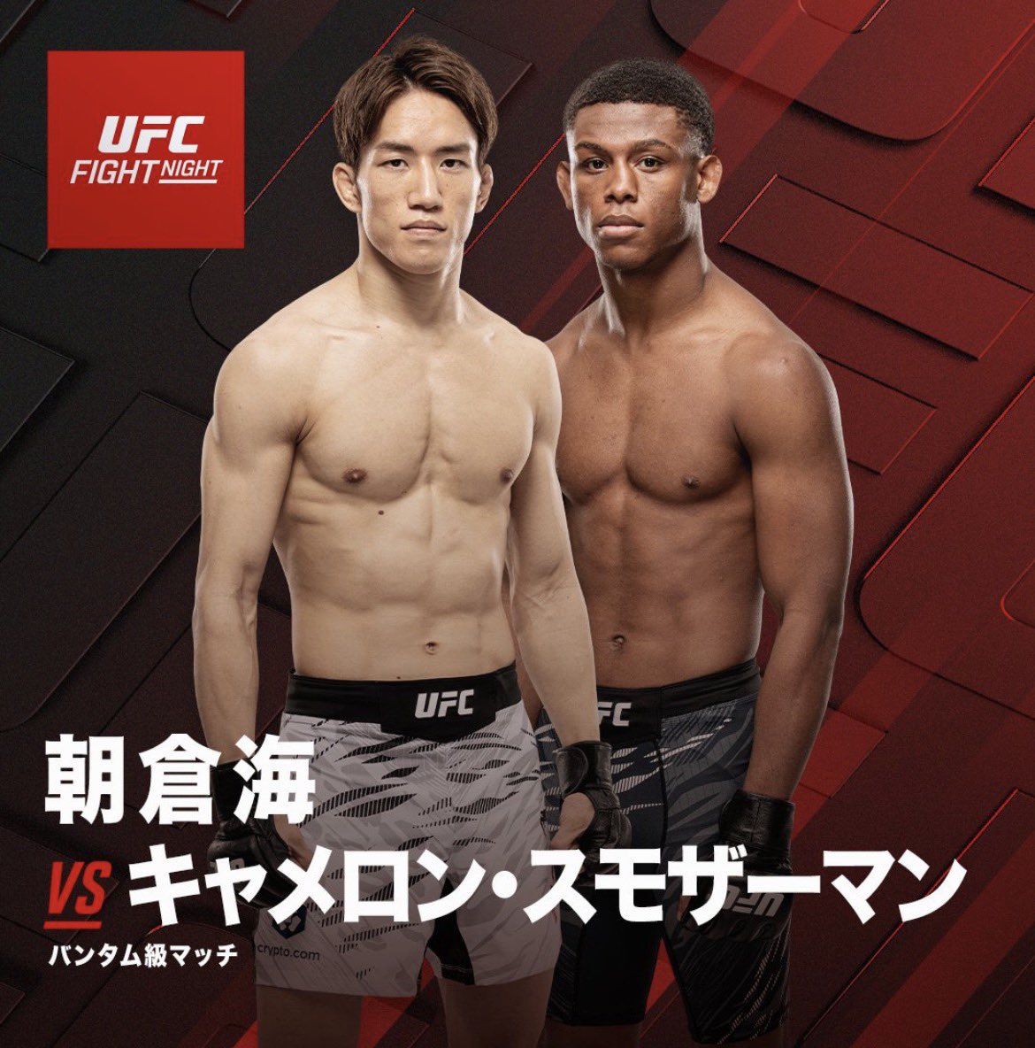 ひらちるんトップチーム(276) tweet media