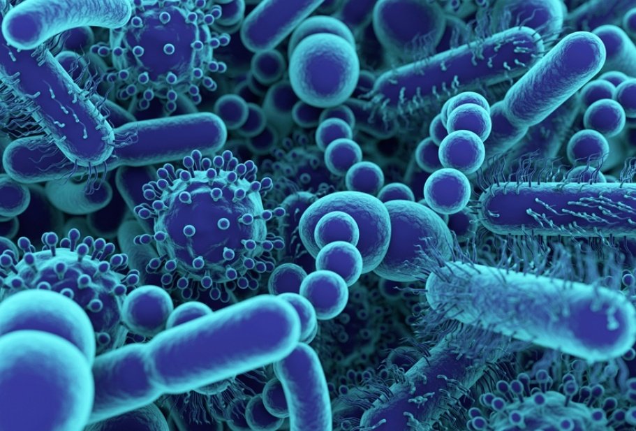 Soureh 🟩☫🟥 tweet media