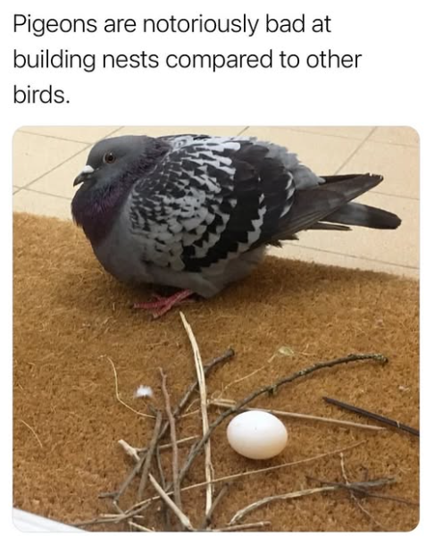 Hunter tweet media