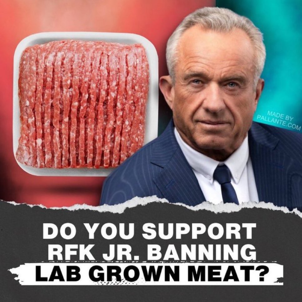 MAGA LADY 🇺🇸 tweet media