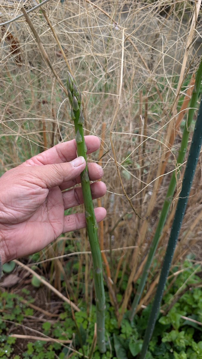 流山市議会議員　西尾だん tweet media