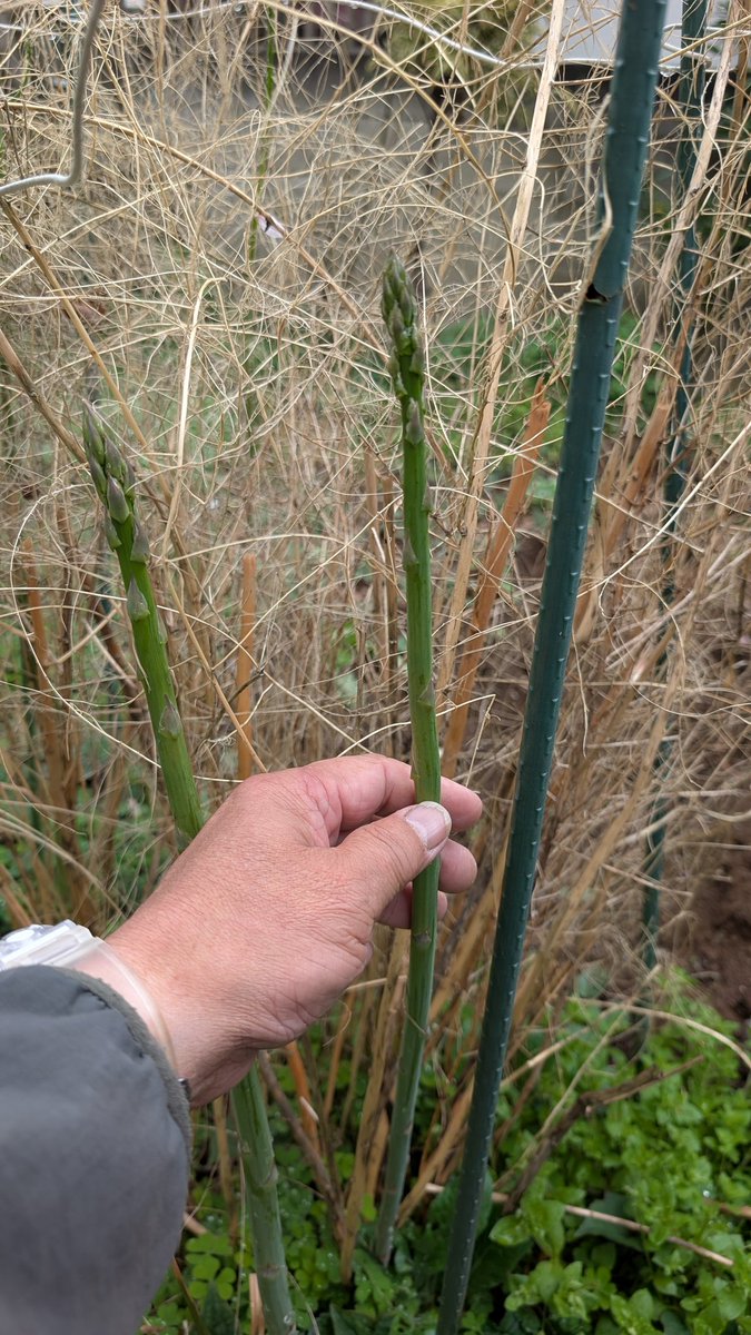 流山市議会議員　西尾だん tweet media