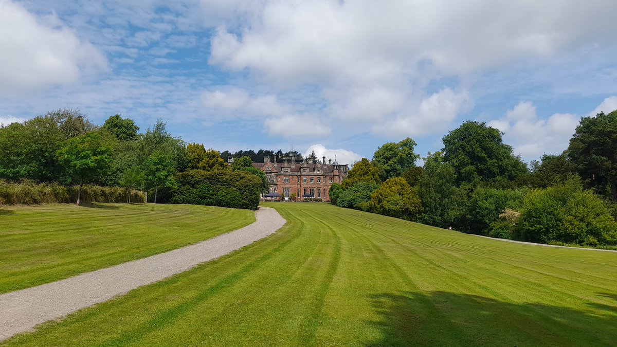 All about Steve tweet media