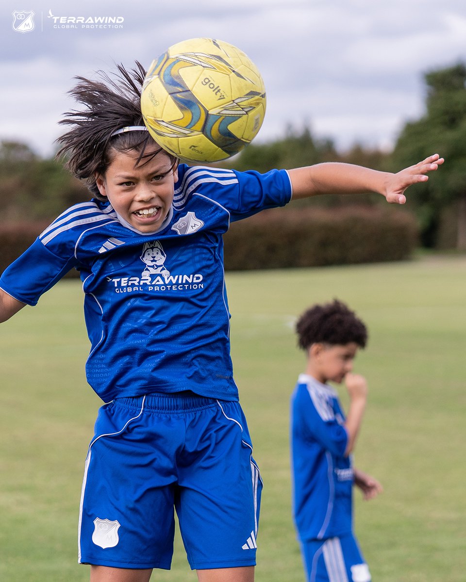 MFC Academia tweet media