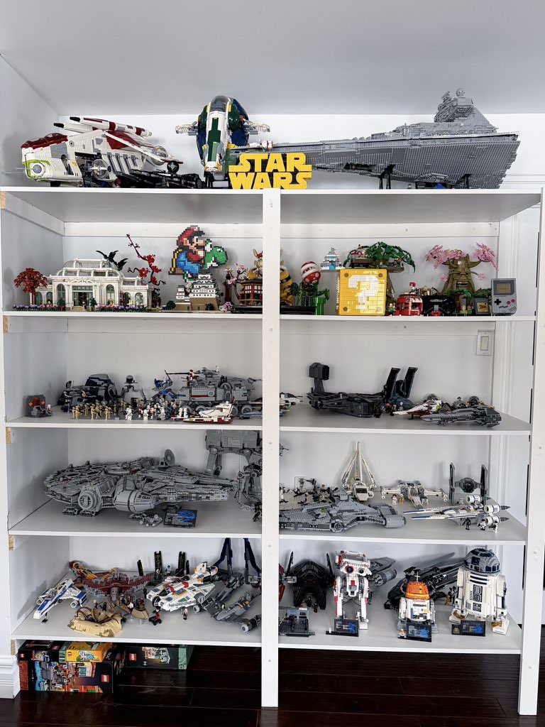 Sara Mei Kasai tweet media