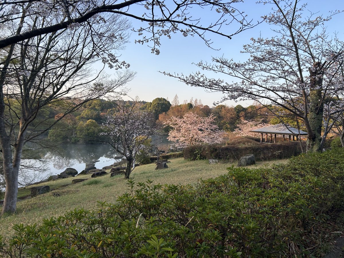 浜の小魔人 tweet media