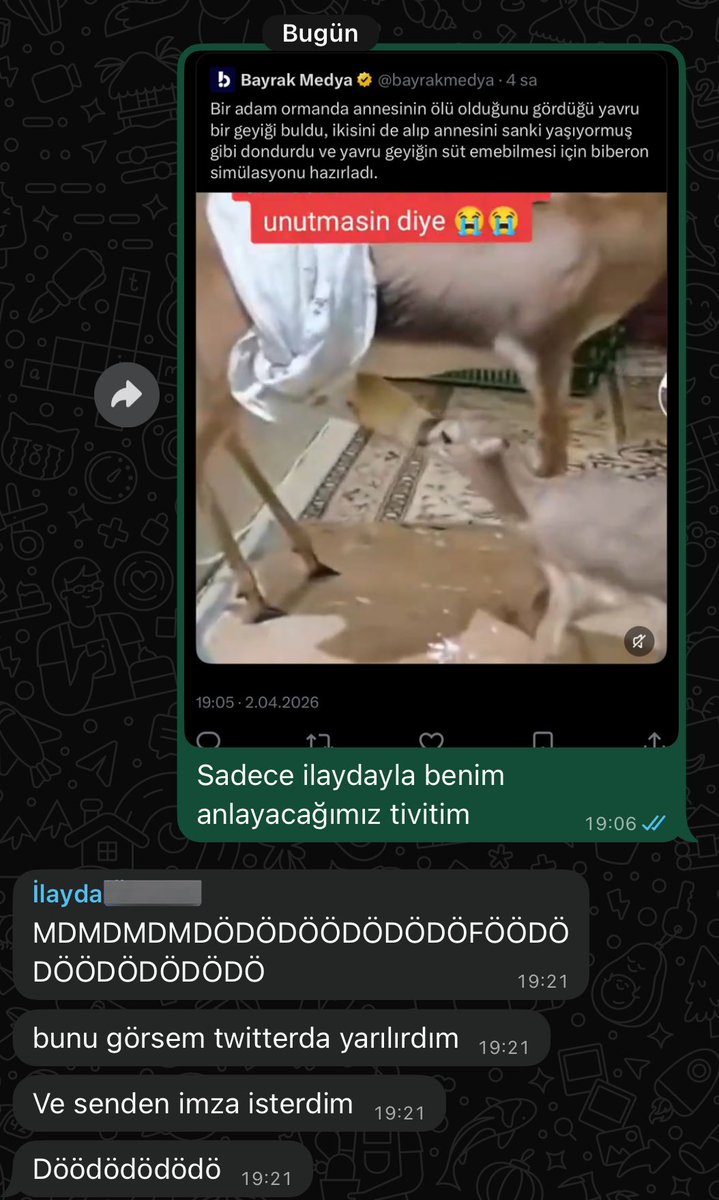 nervung's tweet photo. bizim mizahımız öyle cahil cühelaya değil ha https://t.co/1s5yBr4ybH
