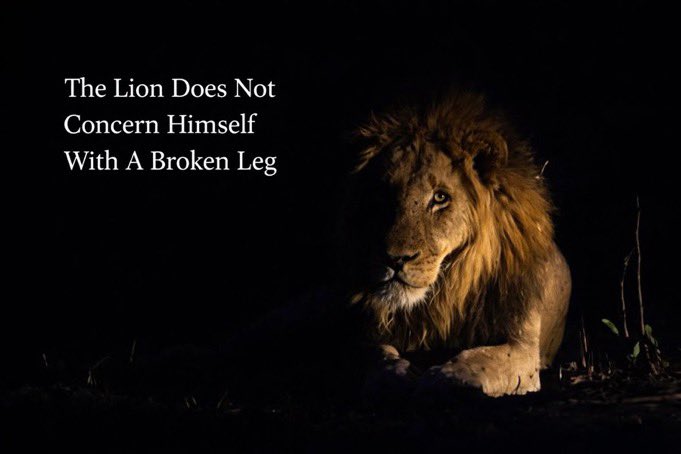We will survive like the lion
$malome

Get bagworking guys.