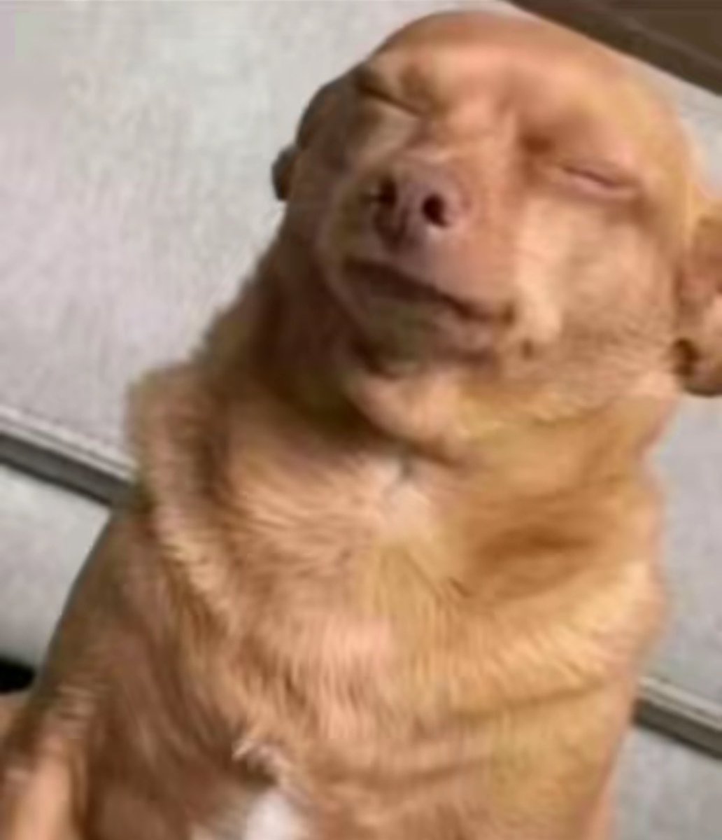 Web3 Ethu tweet media