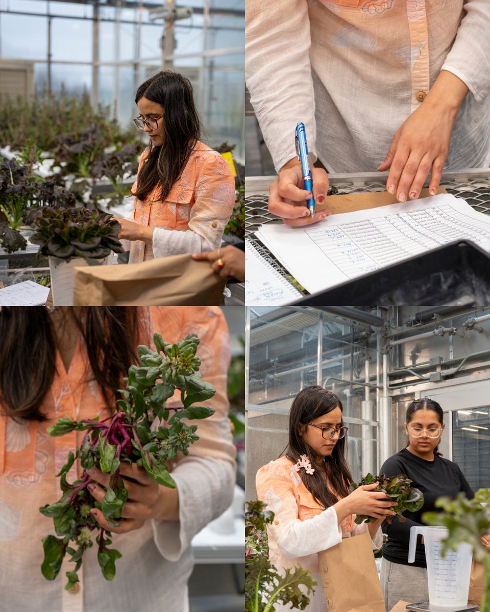SDSU College of Ag, Food & Environmental Sciences tweet media