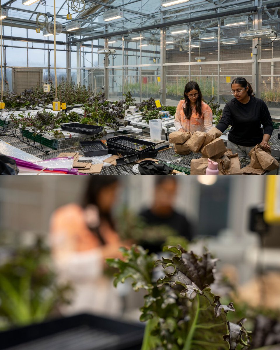 SDSU College of Ag, Food & Environmental Sciences tweet media