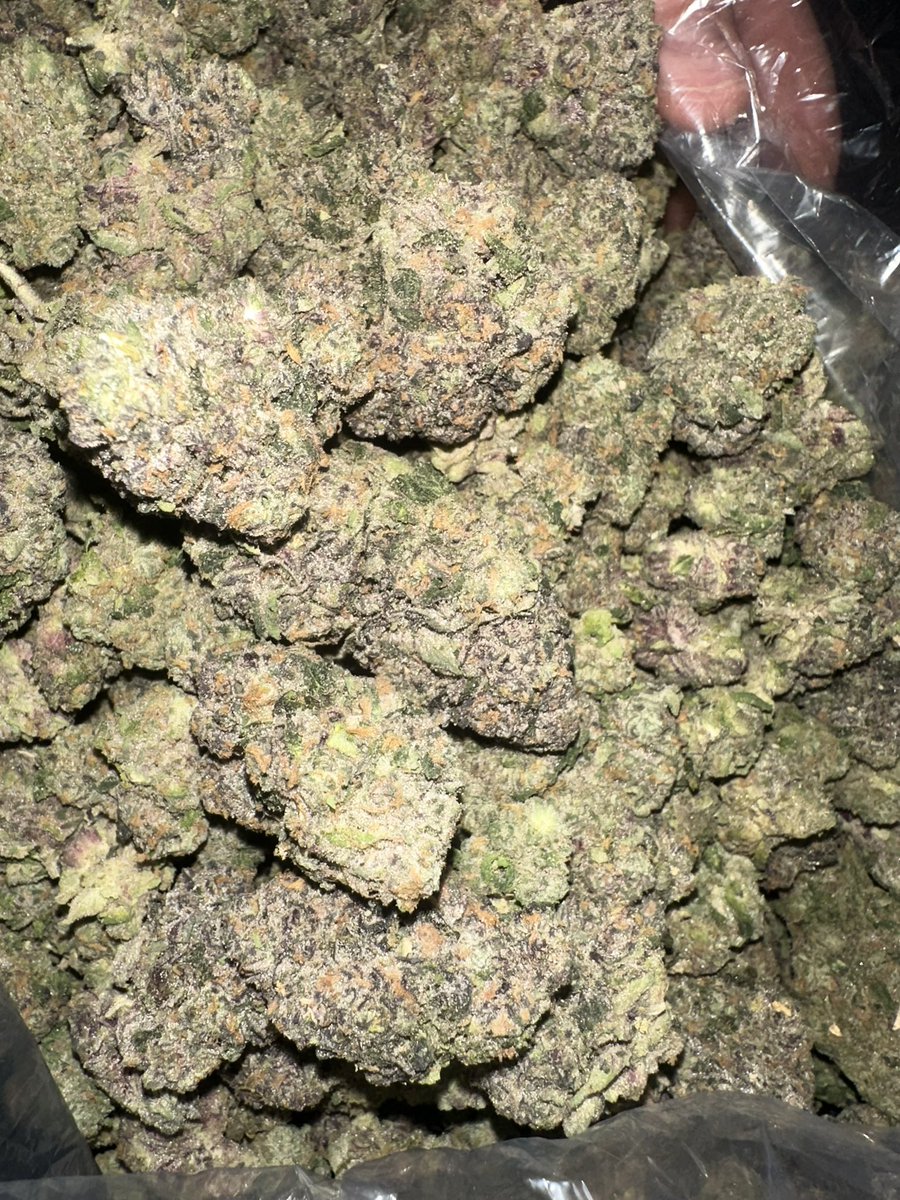 ZaZaWizard tweet media