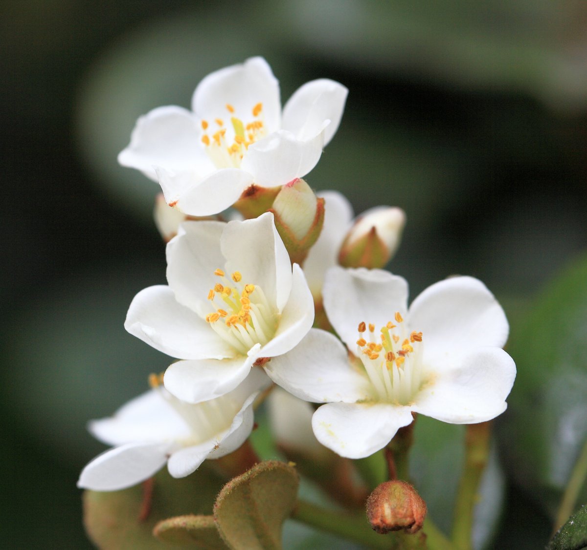 モーニングコールセンター tweet media