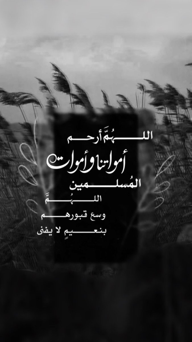 همسة حب 🦋 tweet media