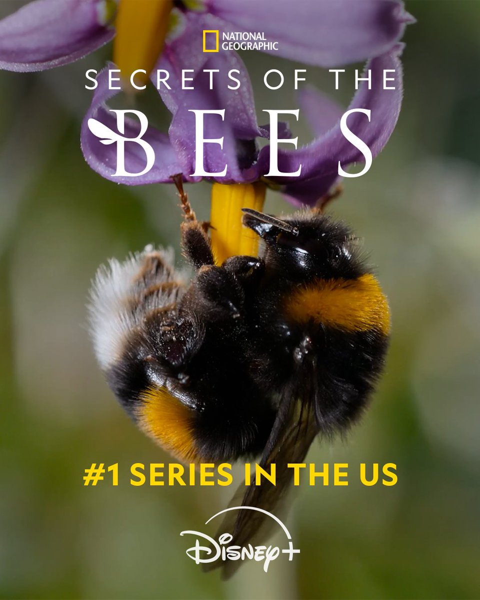 National Geographic Animals tweet media