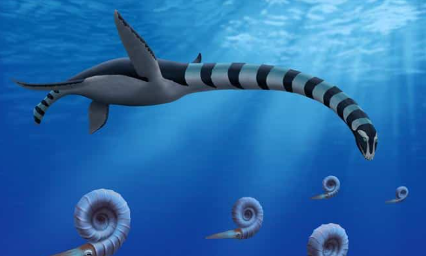 PaleontologieFr's tweet photo. 🌊 A propos du #plésiosaure nommé #Traskasaura, long d’environ 12 m, identifié l'année dernière au Canada ! 🇨🇦
Avec son cou immense et une anatomie « mosaïque », il révèle des adaptations uniques pour chasser dans les mers du #Crétacé.
#ReptileMarin
🔎 https://t.co/YrlJ9HJ8pv https://t.co/kJETVARU4C
