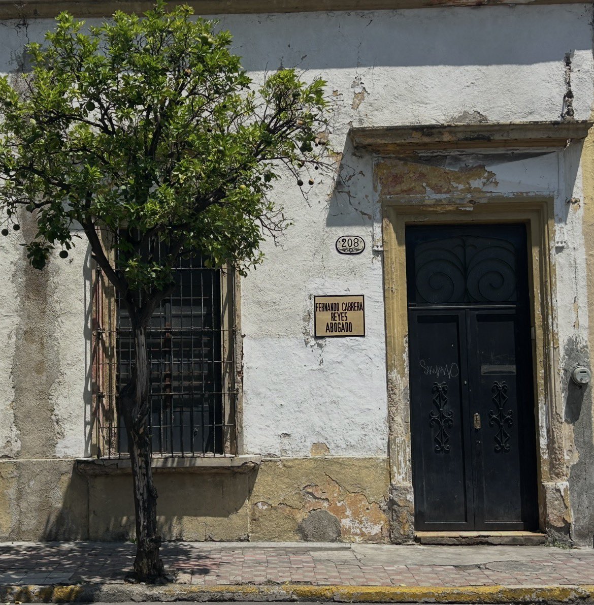 VERÓNICA OSORNIO ⚖️🦉 tweet media