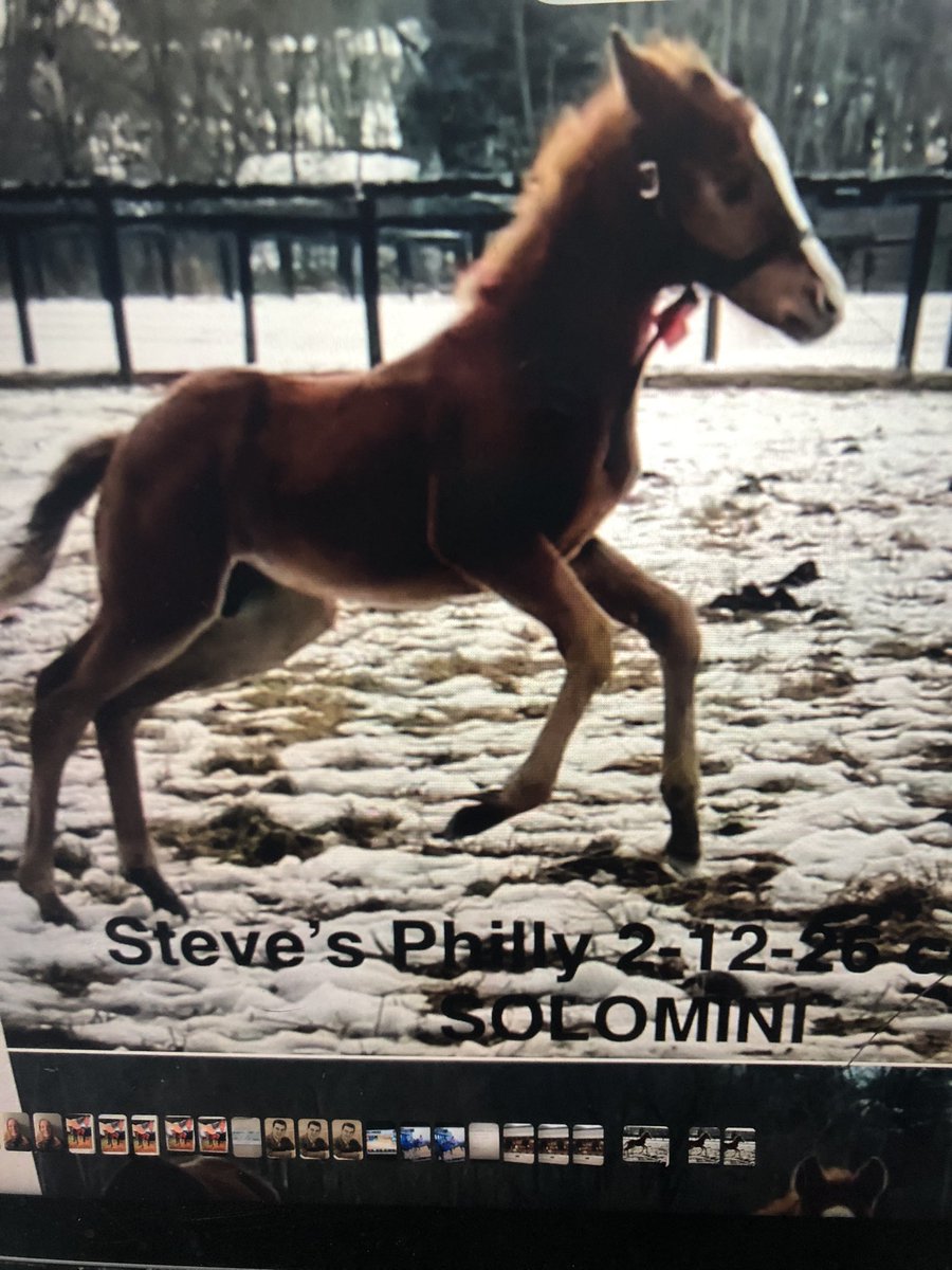 Maggie Seidman tweet media