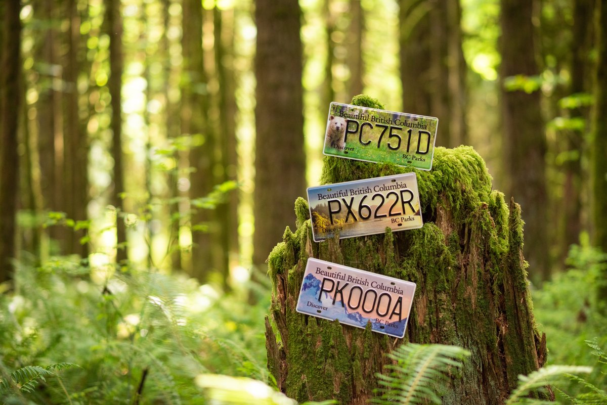 Susie Chant tweet media