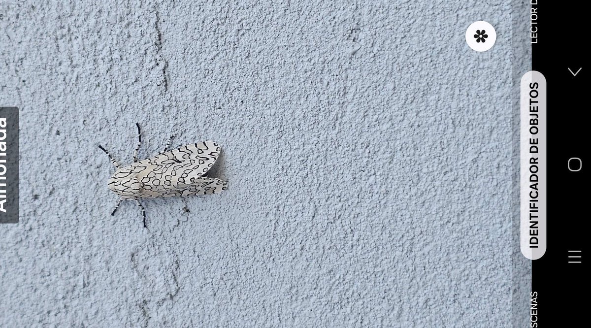 •ǝᴉʞɔᴉɯ• tweet media