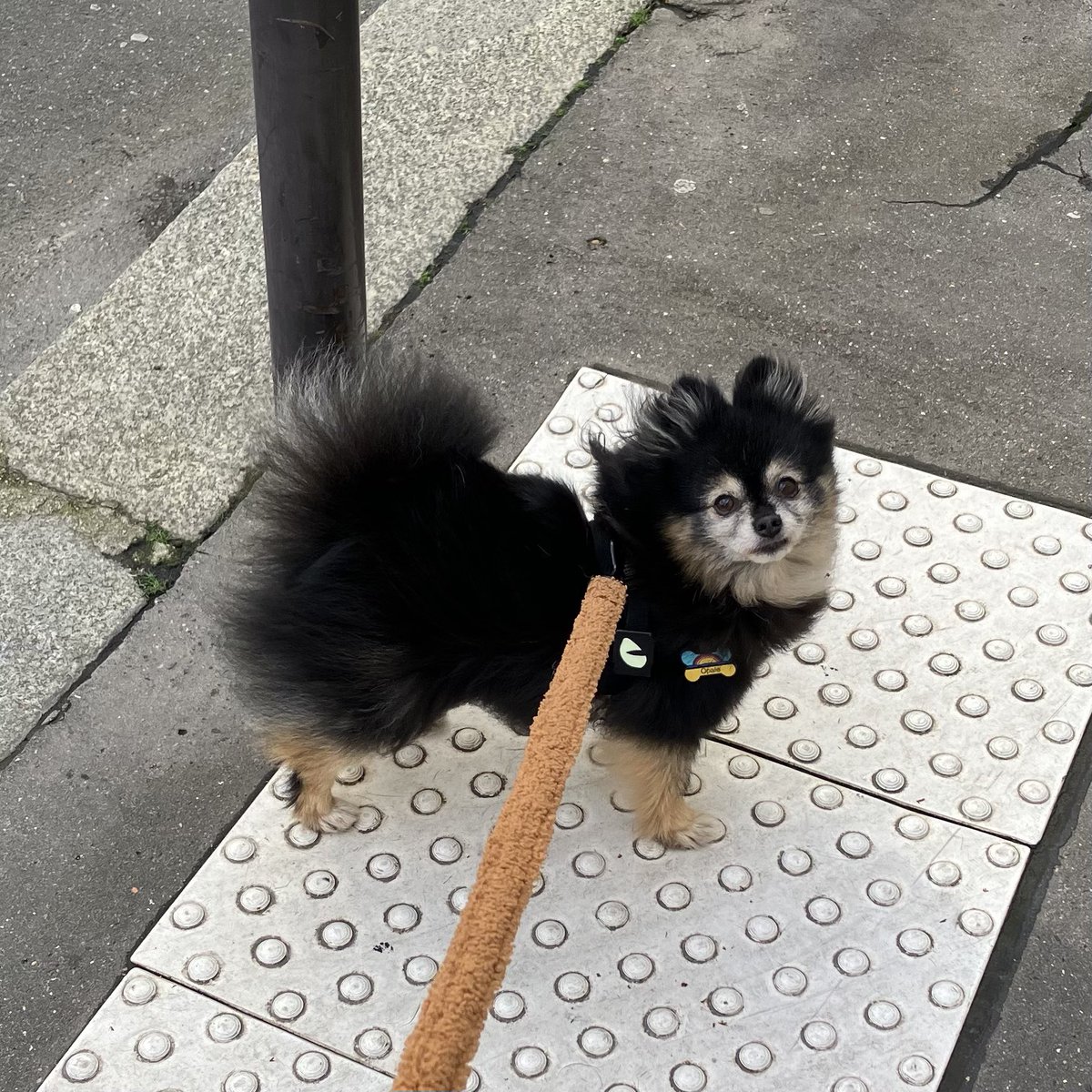 Maud Estfashion 🚁💙💛 tweet media