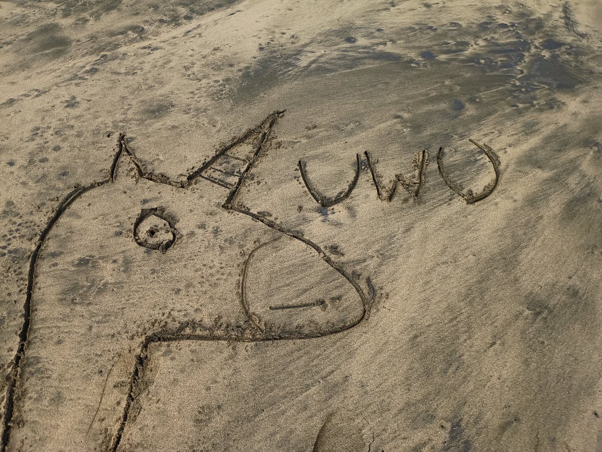 meowketing 🐾 tweet media