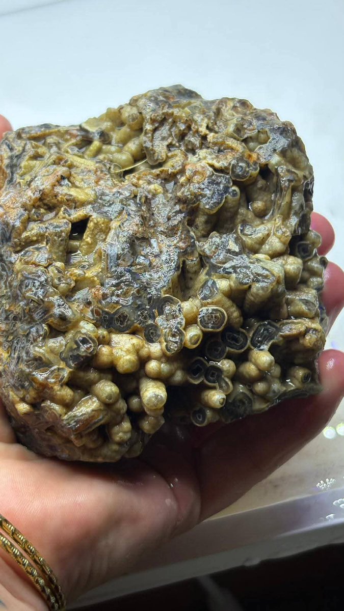 Bayrak Medya tweet media