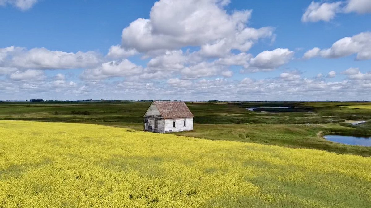 Dylan Bertholet tweet media