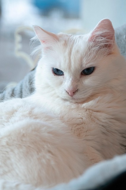 Hoi Borris tweet media