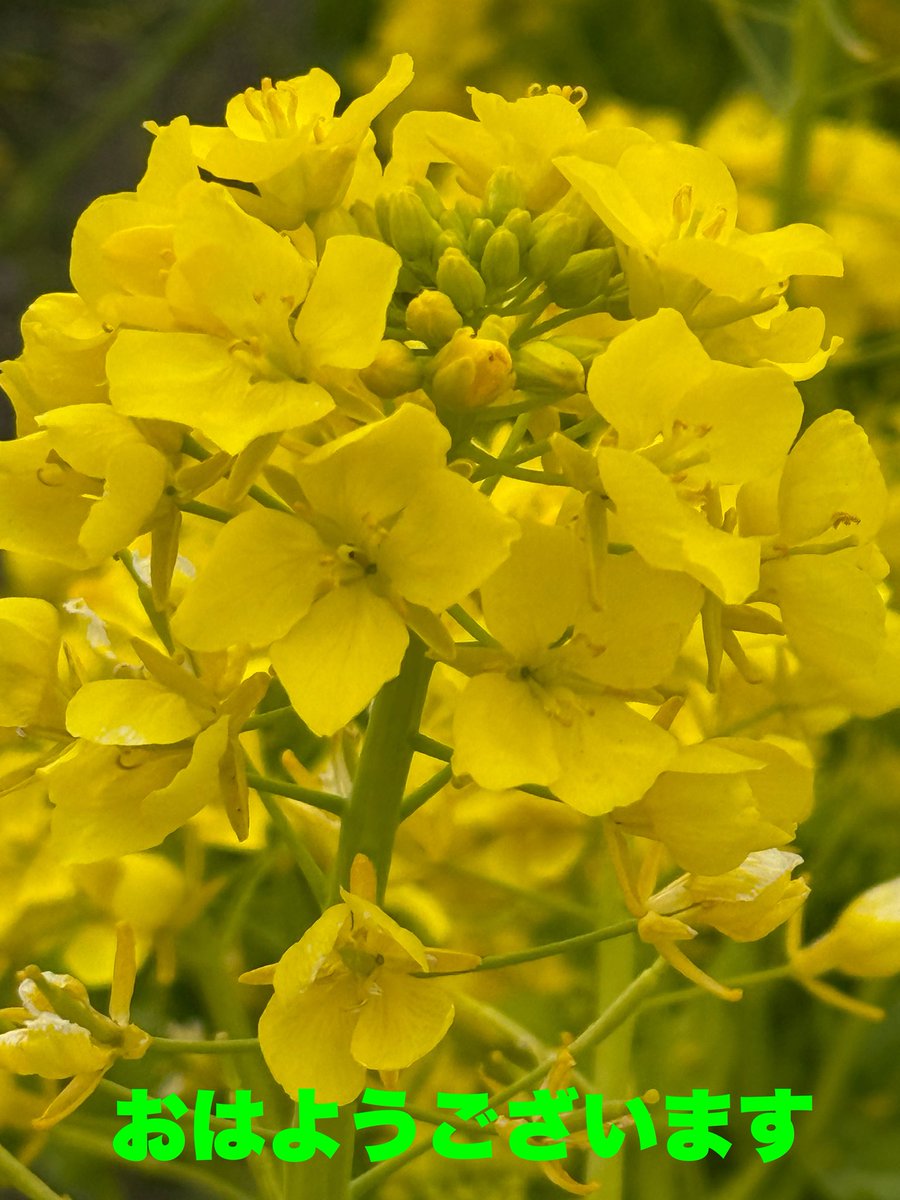 さんぺい tweet media