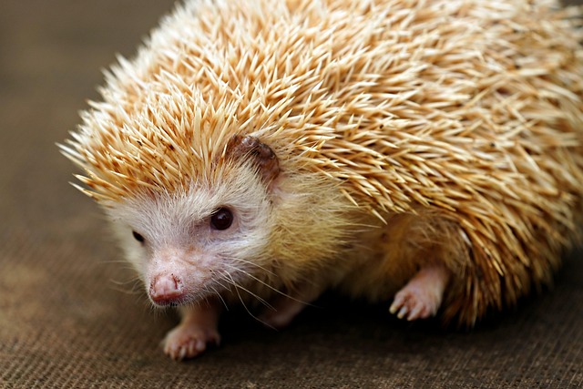 Eric Crowder tweet media