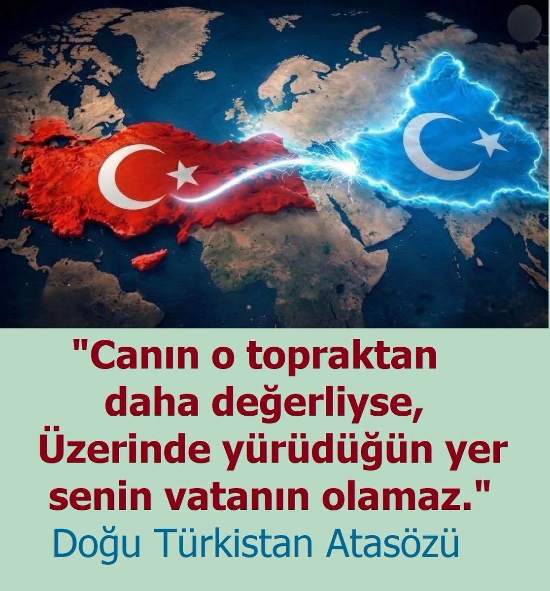 Buharalı tweet media