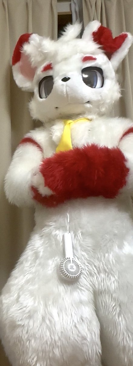 Mao(マオ)🔰→はつじゅー会16→ケモノスクエア→あまケモ祭2026 tweet media