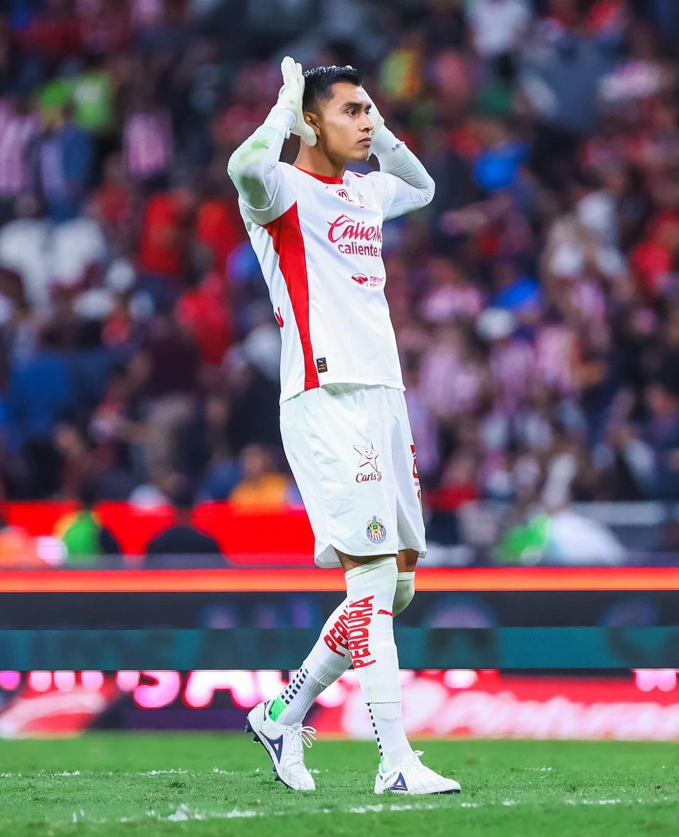 Archivismo tweet media