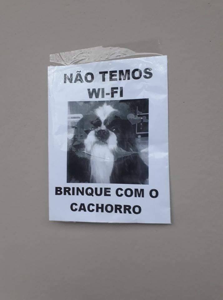 Bichinhos fofinhos pra quem ta cansado tweet media