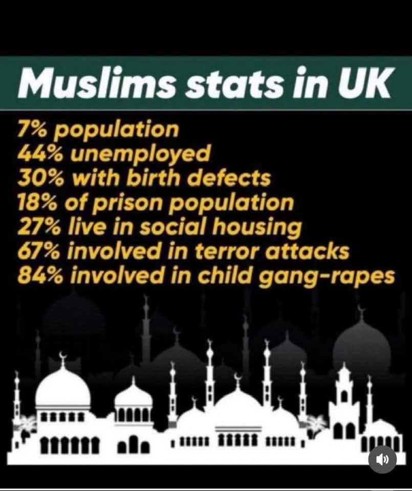 Droidzilla22 tweet media